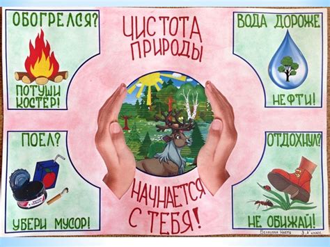 Как сохранить экологию в городе: практические советы для каждого