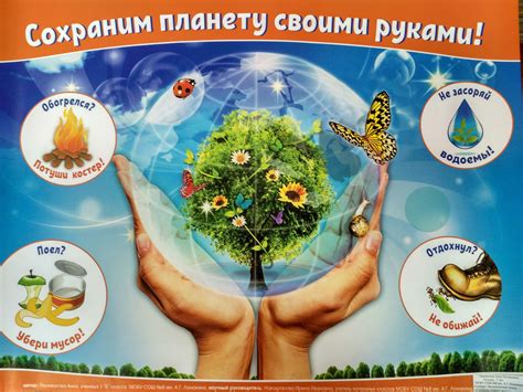 Как сохранить природу: эффективные шаги для улучшения экологии