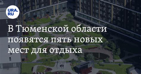 Комфорт и безопасность: в Тюменской области появятся сотни новых зон для отдыха на природе