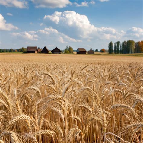 Отдых юных приморцев получит мощную поддержку: на программы выделят свыше 550 миллионов рублей