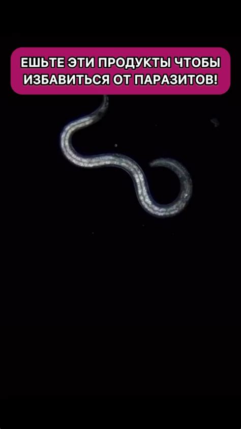 Советы для крепкого здоровья: как сохранить энергичность каждый день